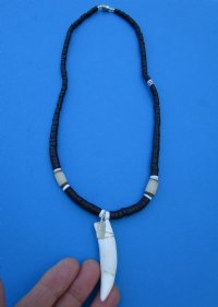 1-5/8 inches Alligator Tooth Pendant on 18 inches Black Coconut Beads Necklace - Buy this one for <font color=red> $19.99</font> (Plus $5.00 First Class Mail)