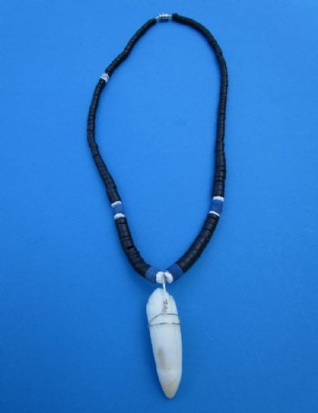 1-5/8 inches Authentic Alligator Tooth Pendant on an 18 inches Black Coconut with Blue Beads Necklace - Buy this one for $19.99 <font color=red> *SALE* FREE SHIPPING*</font>