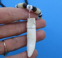 18 inches Black Beads with Cream Beads Necklace with 1-3/8 inches Alligator Tooth Pendant for Sale - Buy this one for $19.99 <font color=red> *SALE* FREE SHIPPING*</font>