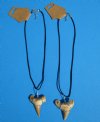 Two Moroccan Fossil Shark Tooth Necklaces with a 1-1/2 inches Shark's Tooth Pendants - $21.60 (Plus $5.00 First Class Mail)