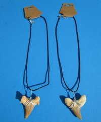 Two Moroccan Fossil Shark Tooth Necklaces with a 1-1/2 inches Shark's Tooth Pendants - <font color=red>$21.60</font> (Plus $5.00 Postage)