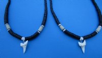 Two Black Coconut Beads Necklaces with 1-1/8 Modern Day Mako Shark Teeth Pendants 18 inches - <font color=red> $15.99 </font>(Plus $7.00 Postage)