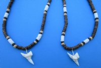 Two Brown Coconut 18 inches Necklace with 1 inch and 1-1/8 inches Shortfin Mako Shark Tooth Pendants - Buy these 2 for <font color=red> $15.99</font> (Plus $7.00 Postage))