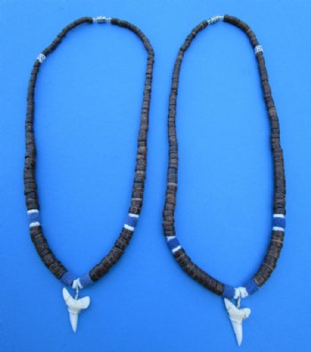 Two Brown Coconut with Blue Beads Necklaces with a 1 inch Shortfin Mako Tooth Pendants - <font color=red>$15.99</font>  (Plus $7.00 Postage)