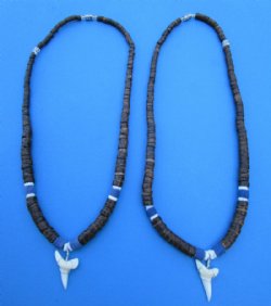 Two Brown Coconut with Blue Beads Necklaces with a 1 inch Shortfin Mako Tooth Pendants - <font color=red>$15.99</font>  (Plus $7.00 Postage)