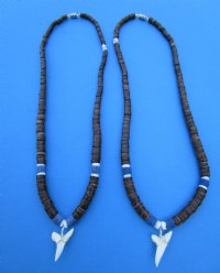 Two Brown Coconut with Blue Beads Necklaces with a 1 inch Shortfin Mako Tooth Pendants - <font color=red>$15.99</font>  (Plus $7.00 Postage)