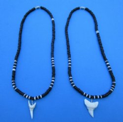Two Black and White Shell Necklace with 1-1/8 and 1-1/4 inches Shortfin Mako Shark Tooth Pendants for <font color=red>$15.99 </font> (Plus $7.00 Postage )