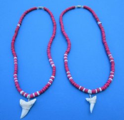 1-1/8 and 1 inches Shortfin Mako Shark Tooth on Pink Coconut Beads Necklaces 18 inches - <font color=red>2 for $15.99</font> (Plus $7.00 Postage)