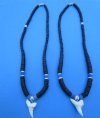 Two 1-1/8 inches and 1-1/4 inches White Modern Day Mako Shark Tooth on 18 inches Black Coconut Beads Necklaces accented with blue beads - Buy these 2 for <font color=red> $15.99</font> (Plus $7.00 First Class Mail)