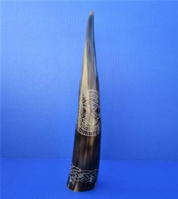 14-1/2 inches Engraved Star Design with Rope Water Buffalo Horn for Sale - Buy this one for $24.99