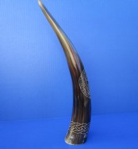 14-1/2 inches Engraved Star Design with Rope Water Buffalo Horn for Sale - Buy this one for $24.99