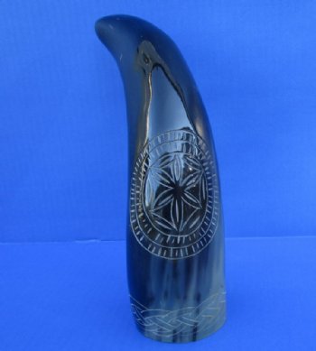 12 inches Engraved Starfish Design with Rope Polished Water Buffalo Horn for Sale  - Buy this one for $25.99