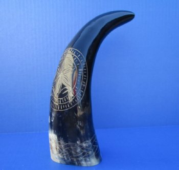 11-1/2 inches Engraved Starfish Design with Rope Polished Water Buffalo Horn for Sale  - Buy this one for $25.99