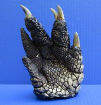 6-1/2 inches Free Standing Florida Alligator Foot - $24.99