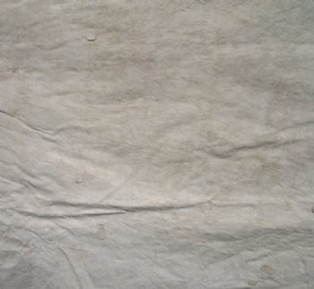 Authentic Zebra Skin Rug , Grade A Minus Exotic Area Rug, (SHIPPED UPS SIGNATURE REQUIRED) - Buy this one for $1050.00