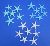 1 to 2 inches Dyed Small Flat Starfish <font color=red> Wholesale</font>   - 1,200 @ .09 each