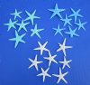 1 to 2 inches Dyed Small Flat Starfish (100 Green, 100 Blue, 100 White) - Pack of 300 @ .18 each