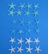 3/4 to 1-1/4 inches Mini and Small Dyed Small Flat Starfish (100 Green, 100 Blue, 100 White) - Pack of 300 @ .13 each