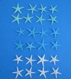 3/4 to 1-1/4 inches Mini, Small Dyed Flat Starfish - Pack of 300 @ .13 each