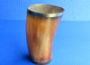 4-1/2 to 5 inches Decorative Buffalo Horn Cup, Glass with a burnt rustic look, brass rim and wood bottom for home decor - Pack of 2 @ $12.15 each; Pack of 4 @ $10.80 each