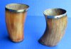 4-1/2 to 5-1/2 inches Decorative Rustic Horn Cups, Drinking Glasses  <font color=red> Wholesale</font>  - 15 @ $6.75 each