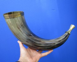 18 to 22 inches Polished Viking War Horn with Engraved Brass Trim and Mouth Piece - $22.99