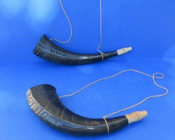  Polished Viking War Horn with Wooden Mouth Piece - $17.99 each