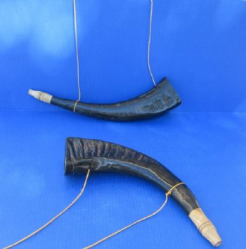  Polished Viking War Horn with Wooden Mouth Piece - $17.99 each