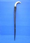 37-1/4 inches tall Authentic Polished Gemsbok Horn Walking Cane, Stick with a Warthog Tusk Handle for Sale  - Buy this one for $124.99