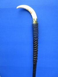 37-1/4 inches tall Authentic Polished Gemsbok Horn Walking Cane, Stick with a Warthog Tusk Handle for Sale  - Buy this one for $124.99