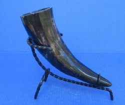 Polished Drinking Horn with Black Rod Iron Horn Stand (12-15") - $12.99 each