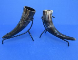 Polished Drinking Horn with Black Rod Iron Horn Stand (12-15") - $12.99 each