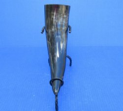 Polished Drinking Horn with Black Rod Iron Horn Stand (12-15") - $12.99 each