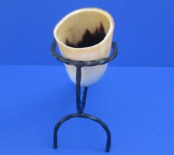 Polished Drinking Horn with Black Rod Iron Horn Stand (12-15") - $12.99 each