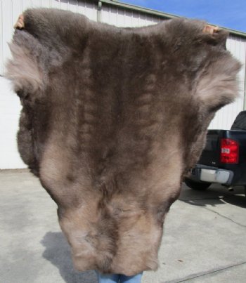 Real Reindeer Hide, Skin, Fur Without Legs, 47 by 41 inches for $99.99