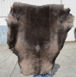 43 by 40 inches Reindeer Fur, Skin, Hide, Without Legs, 