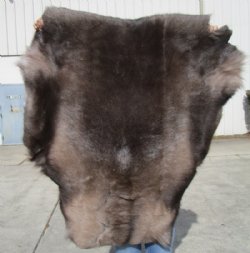 43 by 40 inches Reindeer Fur, Skin, Hide, Without Legs, $99.99