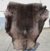 43 by 40 inches Reindeer Fur, Skin, Hide, Without Legs - Buy this one for $109.99