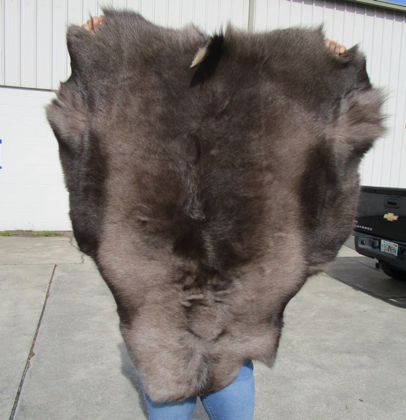 46 by 40 inches Reindeer Fur, Hide, Skin for Sale, Without Legs 46 by 40 inches Reindeer Fur, Hide, Skin for Sale, Without Legs