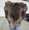 46 by 40 inches Reindeer Fur, Hide, Skin for Sale, Without Legs,  - Buy this one for $109.99