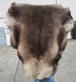 47 by 41 inches Reindeer Hide, Skin, Fur, without legs, 