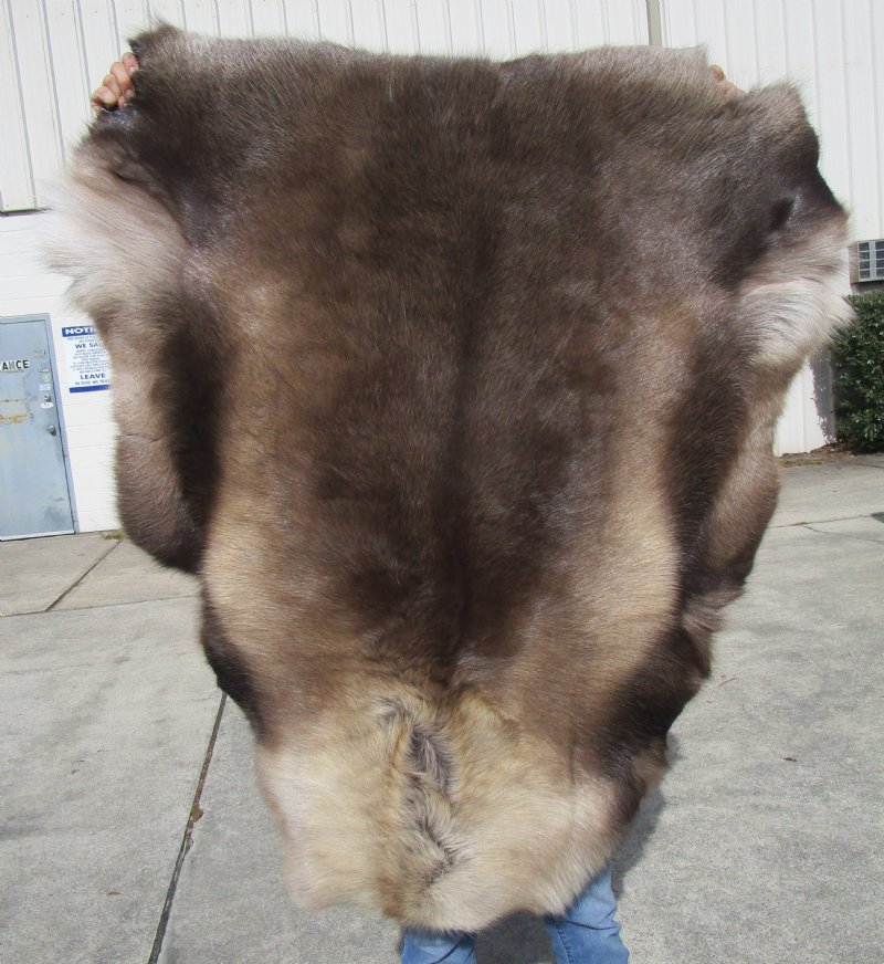 47 by 41 inches Reindeer Hide, Skin, Fur, without legs, 47 by 41 inches Reindeer Hide, Skin, Fur, without legs,