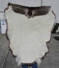 47 by 41 inches Reindeer Hide, Skin, Fur, without legs, - Buy this one for $109.99