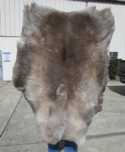 48 by 35 inches Authentic Finland Reindeer Skin, Hide, Fur Without Legs, for Sale 