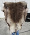 45 by 39 inches Reindeer Fur, Hide, Skin Without Legs - Buy this one for $109.99 