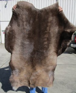 44 by 38 inches B Grade Reindeer Skin Couch Throw, Without Legs