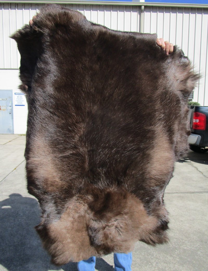 47 by 37 inches Finland Reindeer Hide for Sale, Without Legs, Grade B