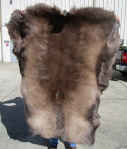 47 by 43 inches Reindeer Fur, Hide, Skin Grade B Without Legs 