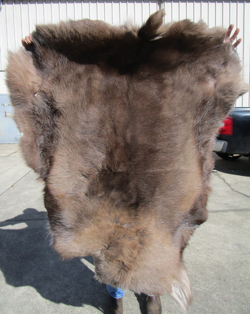 Grade B Reindeer Hide without legs $ Grade B Reindeer Hide without legs $