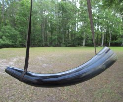 15 inches Viking Blowing Horn Polished, with Leather Strap - $19.99